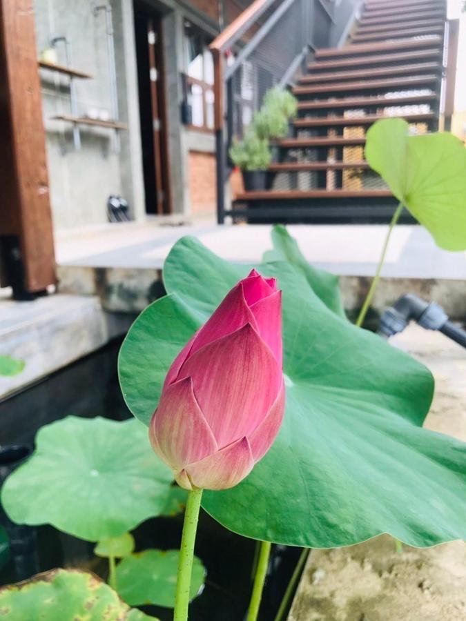 The Wishes Hotel At Chiangmai Chiang Mai Bagian luar foto