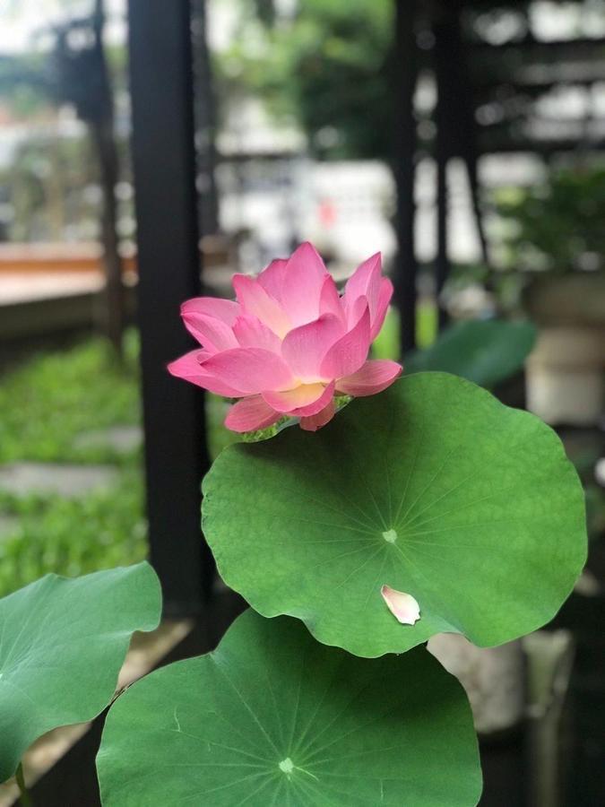 The Wishes Hotel At Chiangmai Chiang Mai Bagian luar foto
